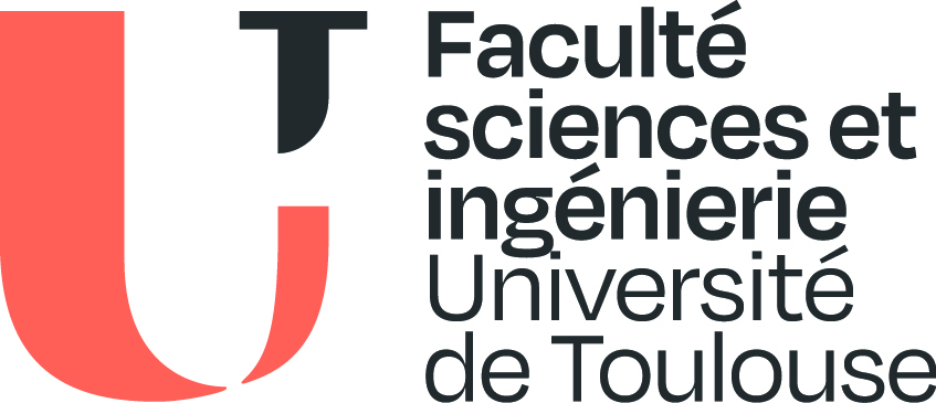 Logo FSI